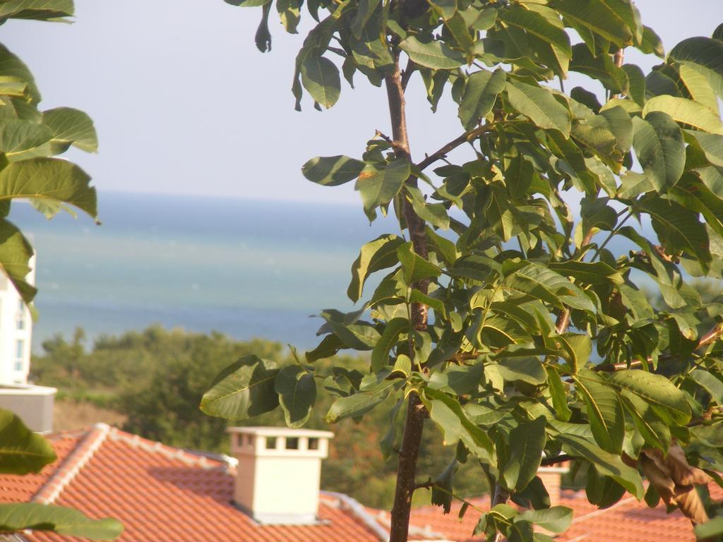 Guest House Zora - Sarafovo Burgas Extérieur photo